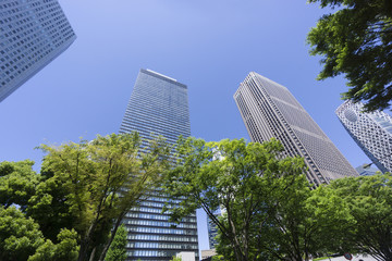 春　新緑　青空　新宿高層ビル街　見上げる　超広角