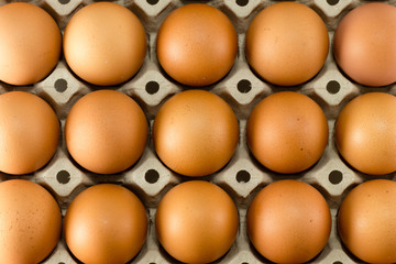eggs in carton tray