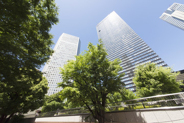 Fototapeta na wymiar 春　新緑　青空　新宿高層ビル街　見上げる　超広角
