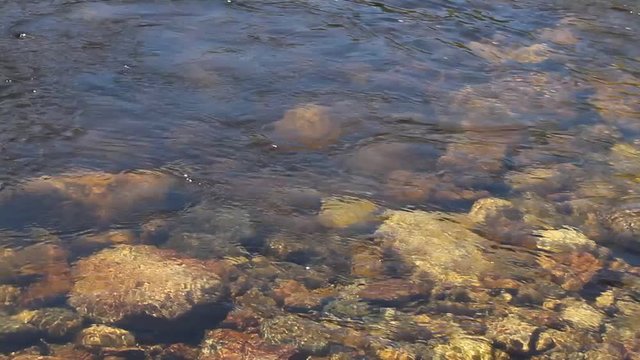 wave current of the river, driftwood, tree and grass