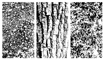 Vector wooden bark, stone and moss texteres