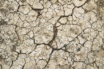 Dry ground / Dry brown ground cracked in hot area. Global warming