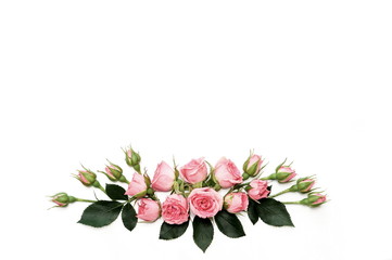 Pink roses on white background. Flat lay, top view 