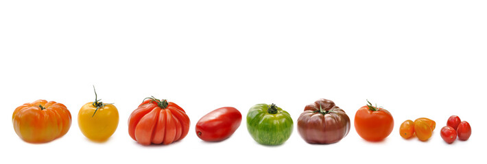 rangÃ©e de  tomates - variÃ©tÃ©s anciennes isolÃ©es sur fond blanc 