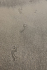footprint on the beach sand.