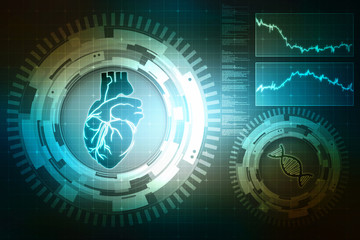 Obraz premium Human Heart - Anatomy of Human Heart