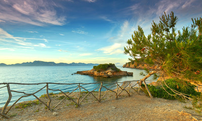 Fototapeta na wymiar mallorquinische Küste mit Pinienbäumen am Strand
