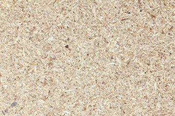 Closeup natural plywood texture background for design with copy space for text or image.