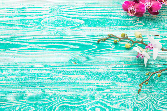 Fototapeta violet and white orchid flower on turquoise colored wooden background top view