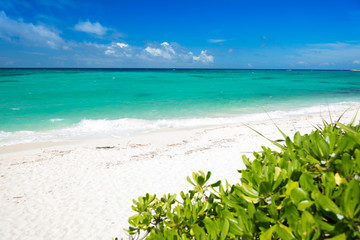 リゾートビーチ