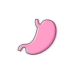 Flat vector human stomach icon