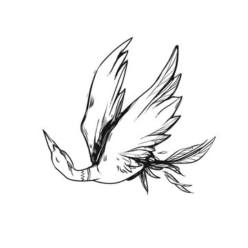 Beautiful soaring bird. Beautiful flying swan. The ideas for tattoos.