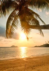 Crédence de cuisine en verre imprimé Mer / coucher de soleil La côte de la mer tropicale au coucher du soleil, palmier, sable blanc a