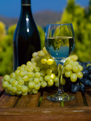 The glass of white wine, the bottle and grapes on wooden table