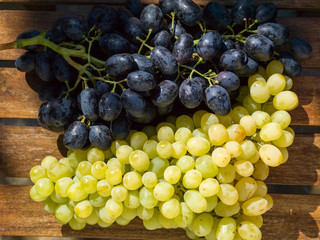 Black and white bunches of grapes on wooden table.