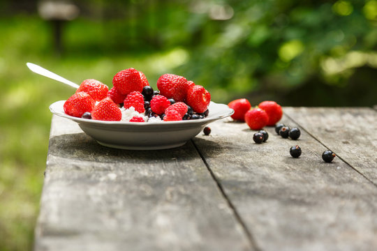 Open Air Breakfast - Cottage Cheese With Berries