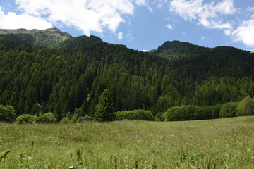 montagna montagne paesaggio di montagna panorama di montagna cime bosco boschi 