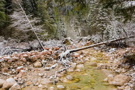 Winter im Klausbachtal, Nationalpark Berchtesgaden in Oberbayern