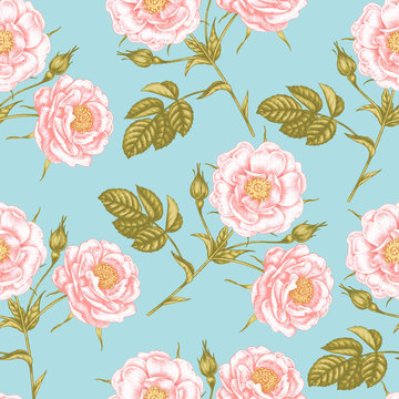 Seamless pattern with roses.