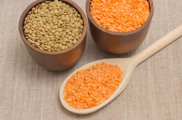 the seeds of red and green lentils on canvas