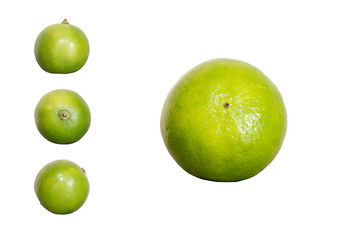 Fototapeta na wymiar Green lime isolated on white background