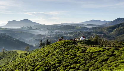 Deurstickers Tea Fields of Sri Lanka, Nuwara eliya © mlnuwan