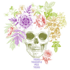Fototapeta premium Vector illustration of the skull and flowers.