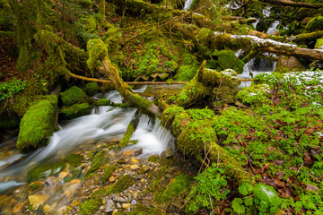 Wasserfall am Hochkalter im Klausbachtal, Berchtesgadener Land in Oberbayern