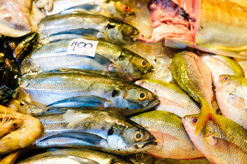 Time for eat the set of raw seafood preparing for grilled