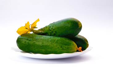 green cucumber on white