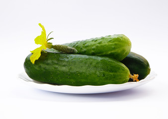 green cucumber on white