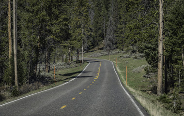 Empty road head to Yellowstone National park south entrance