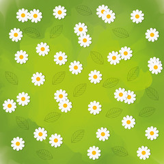 Floral and garden concept represented by flowers background icon . Colorfull and flat illustration