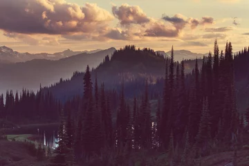 Keuken foto achterwand Mistig bos Bergen