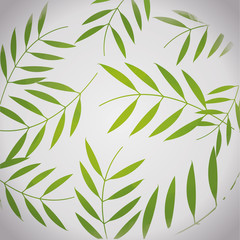 Naklejka premium Floral and garden concept represented by background of leaves icon. Colorfull and flat illustration