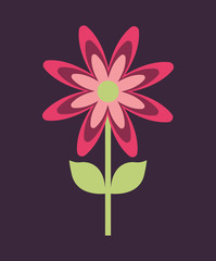 Floral and garden concept represented by flower icon . Colorfull and flat illustration