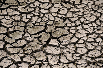 Dry cracked ground natural drought Texture background