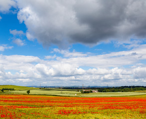 KIRKBY-IN-ASHFIELD, ENGLAND - JUNE 24: Red poppies in farmland fields, pylons, and farmhouse in distance. In Kirkby-In-Ashfield, Nottinghamshire, England. On June 24th 2016.