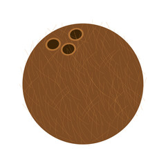 whole coconut icon