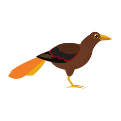 brown bird icon
