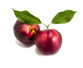 Nectarine fruit isolated on white background