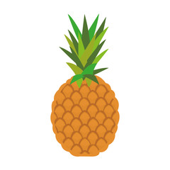 colored pineapple icon