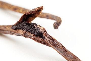 バニラビーンズ