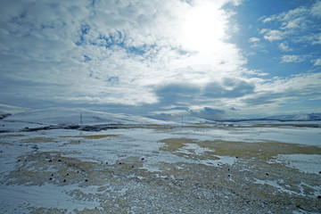 Snow mountain landscape of the grasslands