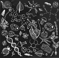 Naklejka premium Biological Background vector