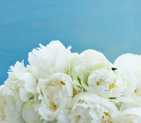 White peony flowers