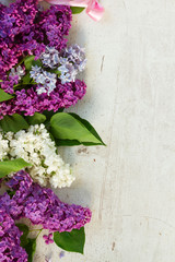 Bunch of fresh lilac