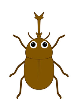 カブトムシ