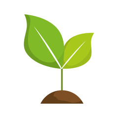 Nature concept represented by leaves icon. isolated and flat illustration 