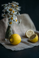 yellow lemons with fresh chamomile flowers. still life